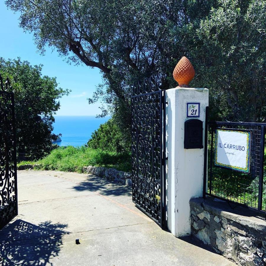 Il Carrubo Capri ξενώνας Ανακάπρι Εξωτερικό φωτογραφία