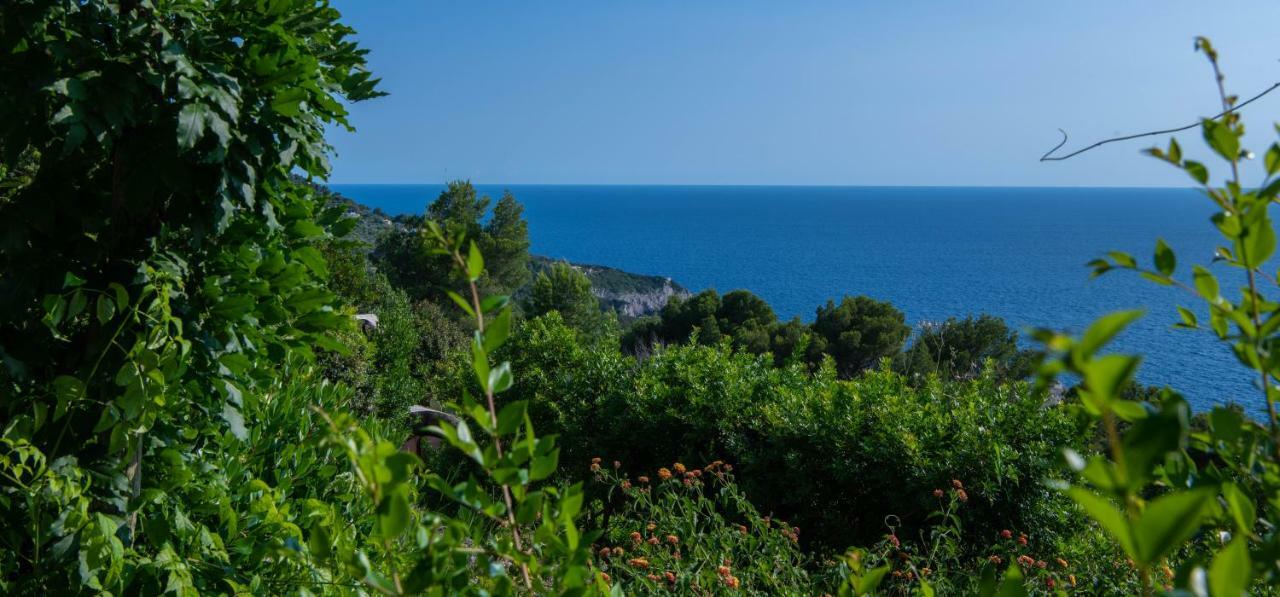 Il Carrubo Capri ξενώνας Ανακάπρι Εξωτερικό φωτογραφία